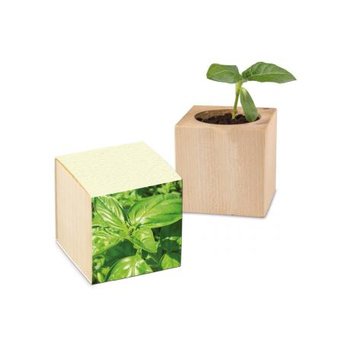 Pflanz-Holz Graspapier inkl. 1 Seite gelasert - Basilikum