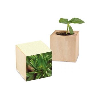 Pflanz-Holz Graspapier inkl. 1 Seite gelasert - Fichte