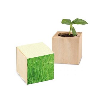 Pflanz-Holz Graspapier inkl. 1 Seite gelasert - Gras