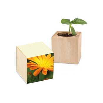 Pflanz-Holz Graspapier inkl. 1 Seite gelasert - Ringelblume