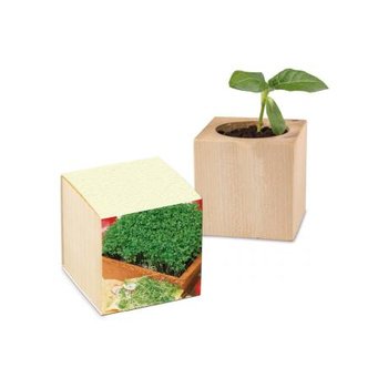 Pflanz-Holz Graspapier inkl. 2 Seiten gelasert - Gartenkresse