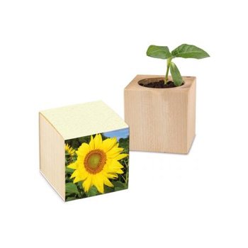 Pflanz-Holz Graspapier inkl. 2 Seiten gelasert - Sonnenblume