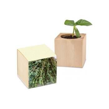 Pflanz-Holz Graspapier inkl. 2 Seiten gelasert - Thymian