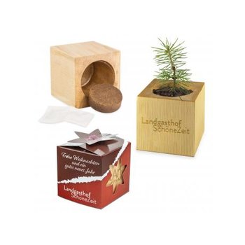 Pflanz-Holz Maxi Star-Box Xmas - Fichte, 2 Seiten gelasert
