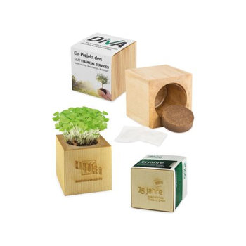 Pflanz-Holz Maxi 