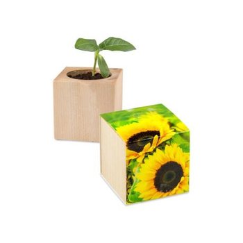 Pflanz-Holz - Standardmotiv - Sonnenblume - inkl. Lasergravur auf zwei Seiten