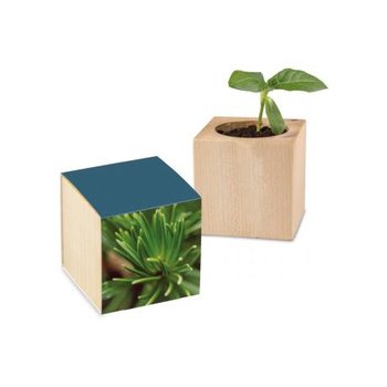 Pflanz-Holz Standardpapier - Fichte