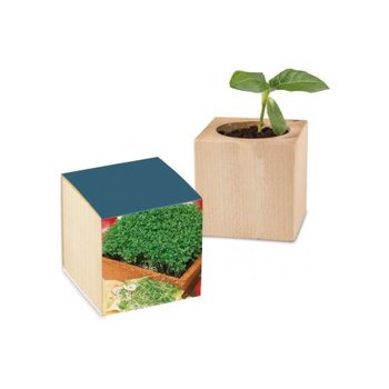 Pflanz-Holz Standardpapier - Gartenkresse