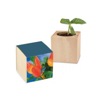 Pflanz-Holz Standardpapier - Gewürzpaprike