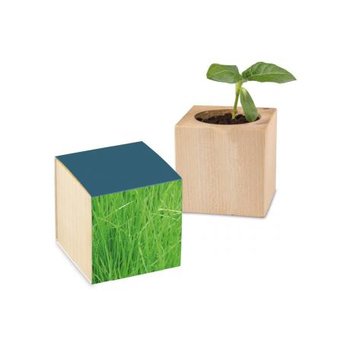 Pflanz-Holz Standardpapier - Gras