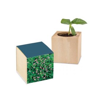 Pflanz-Holz Standardpapier - Persischer Klee