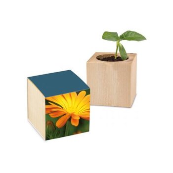 Pflanz-Holz Standardpapier - Ringelblume