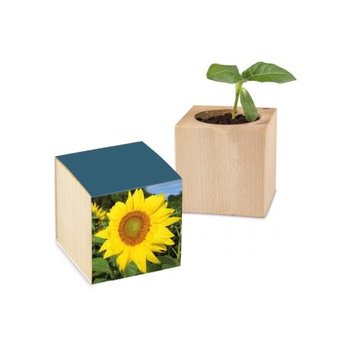 Pflanz-Holz Standardpapier - Sonnenblume