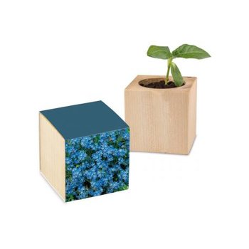 Pflanz-Holz Standardpapier - Vergissmeinnicht