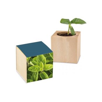 Pflanz-Holz Standardpapier inkl. 2 Seiten gelasert - Majoran