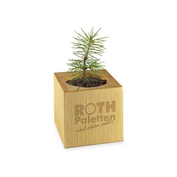 Pflanz-Holz - Standardmotiv - Frohe Weihnachten - 2 Seiten gelasert