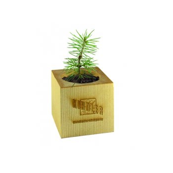Pflanz-Holz Weihnachten - Standardmotiv inkl. inkl. 1 Seite gelasert