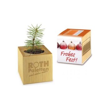 Pflanz-Holz Xmas inkl. 1 Seite gelasert