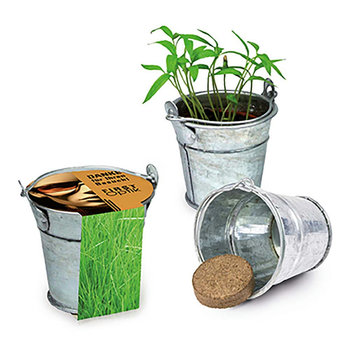 Pflanzeimerchen mit Samen - Gras