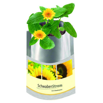 Plant-Bag Sonne