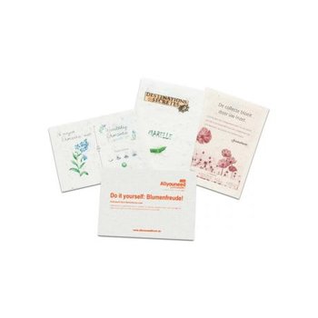 Samenpapier DIN A6 - 10 5 x 14,8 cm - Postkarte - Mohnblume 4/4-c