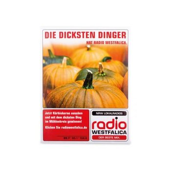 Samentütchen Groß - Sommerblumen