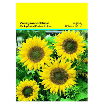 Samentütchen Zwergsonnenblume 82 x 114 mm