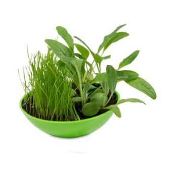Schaukelschale mit Steg gruen