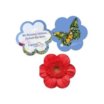 Schmetterling Samenpapier im Klappkärtchen Blume
