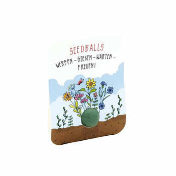 Seedballs - 1 Stück