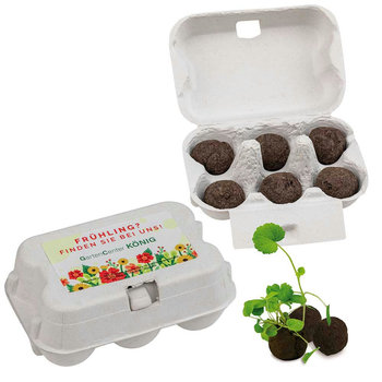 Sixpack - Flower-Balls Midi mit Samen mit Samen