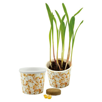 Snack 2Grow Popcorn