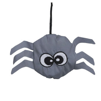 Susi Spinne