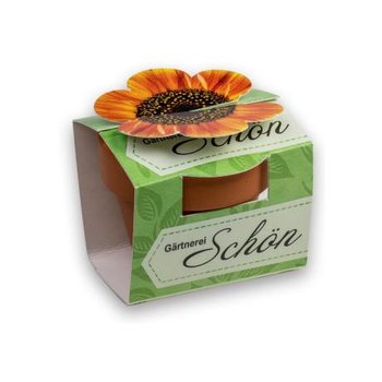 Tontöpfchen-Blume - Glücksklee-Zwiebeln inkl. Tampondruck