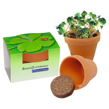 Tontöpfchen Glücksklee
