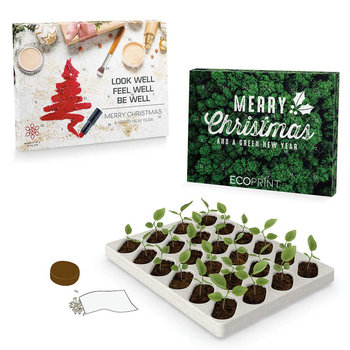 Wachsender Adventskalender - mit Digitaldruck