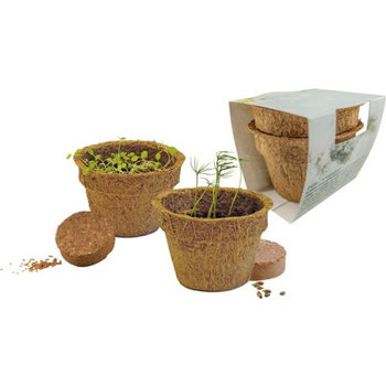 Weihnachtsduo Eco