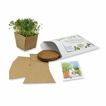 "Wünsch-Dir-Was" Samen-Pflanzset - (Recyclingpapier) Kresse