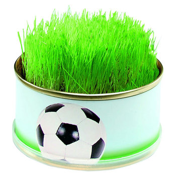 Zimmer-Arena