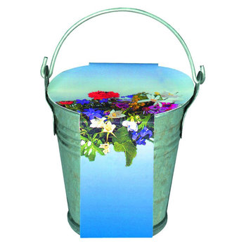 Zinkeimerchen Bunte Blumenmischung