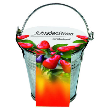 Zinkeimerchen Chili